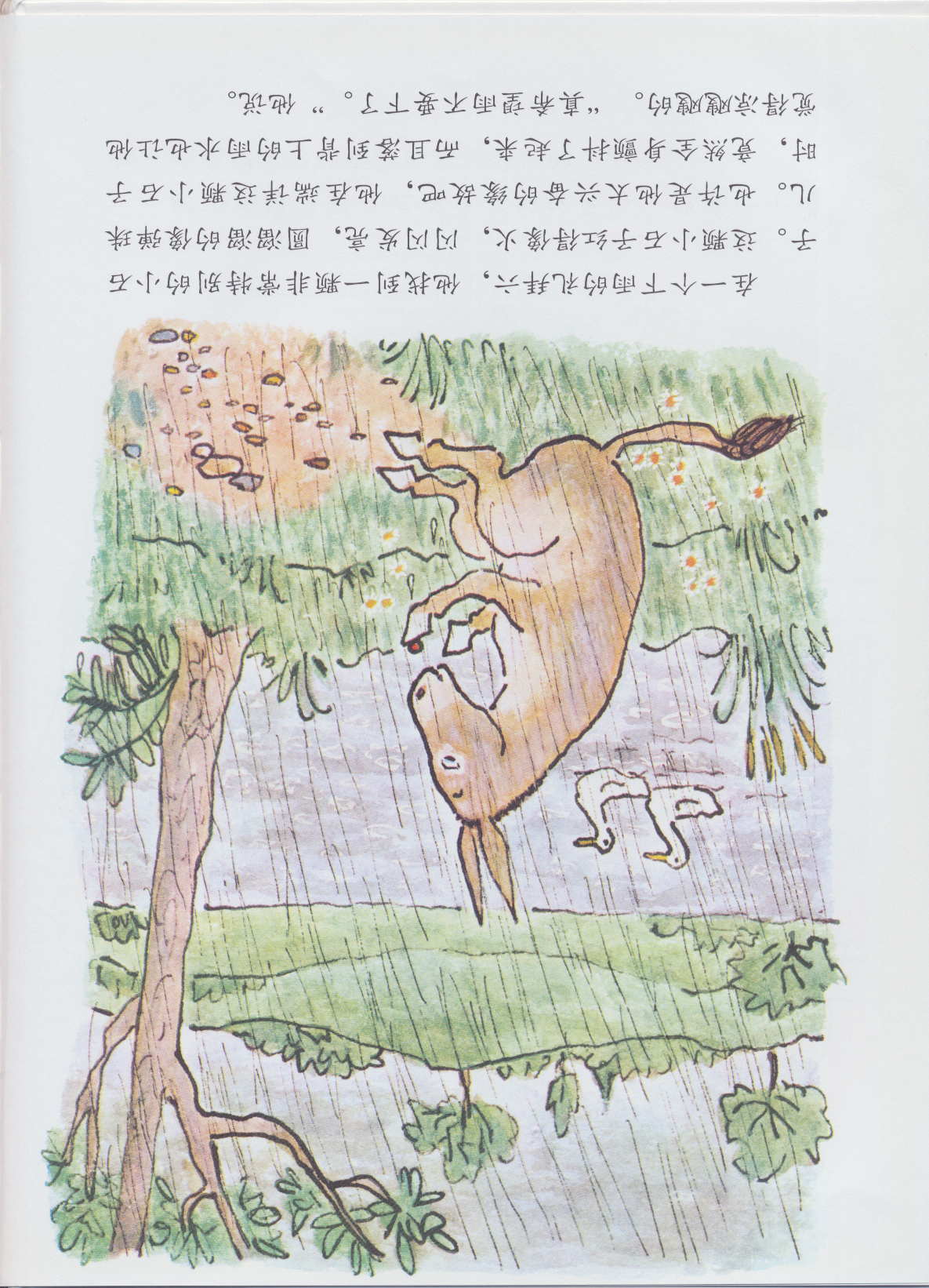 驴小弟变石头 (04),绘本,绘本故事,绘本阅读,故事书,童书,图画书,课外阅读
